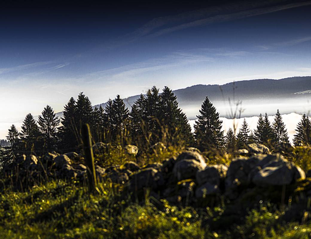 Romain Gauthier Vallée de Joux landscape 3