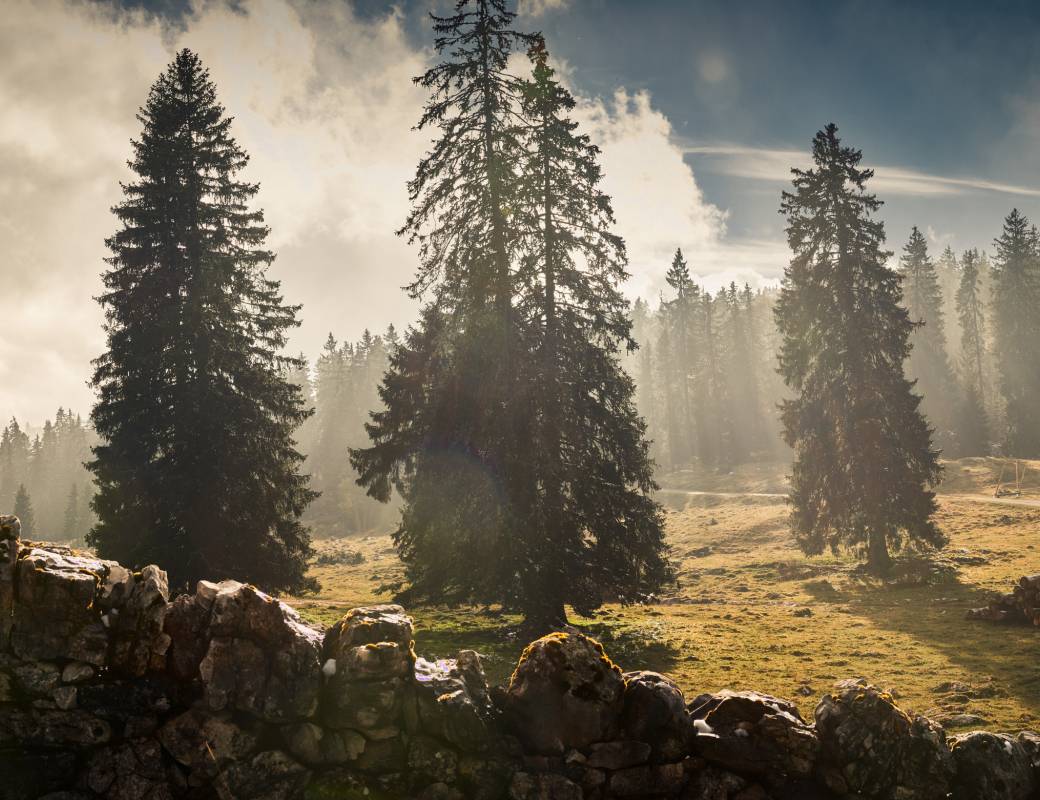 Romain Gauthier Vallée de Joux landscape 4